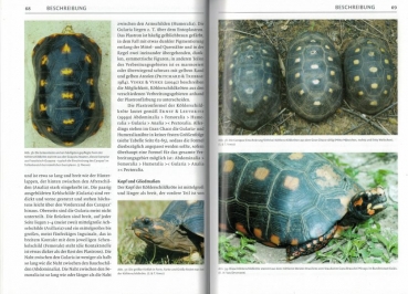Preview: Schildkrötenbibliothek 3 - Südamerikanische Landschildkröten
