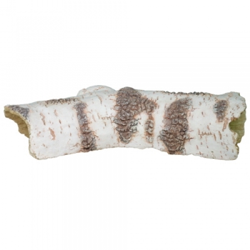 Birch Tunnel 3 (32,5 × 14 × 8 cm)