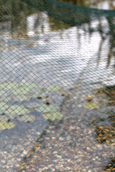 Oase AquaNet Teichnetz 2 (4x8m)