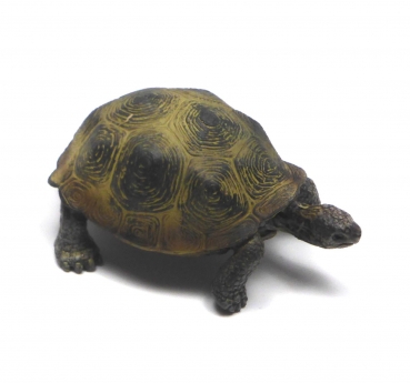 Riesenschildkröte (Schleich)