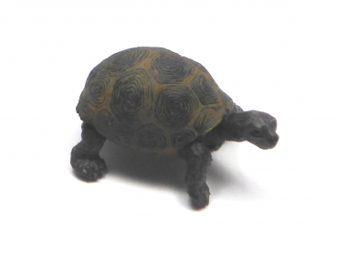 Riesenschildkrötenjungtier (Schleich)