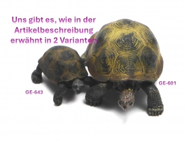 Preview: Riesenschildkrötenjungtier (Schleich)