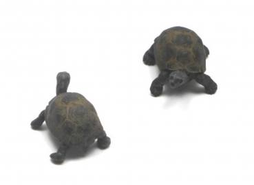 Riesenschildkrötenjungtier (Schleich)