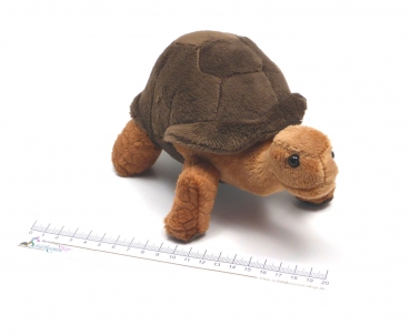 Preview: Stofftier Galapagos-Schildkröten Baby "Tara" braun