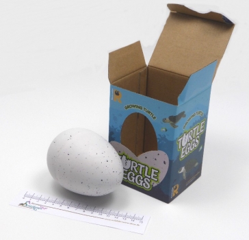 Preview: TURTLE EGG - Growing Turtle
