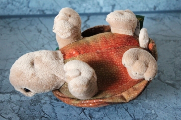 Stofftier Riesenlandschildkröte "Rapidy" klein