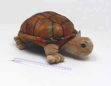 Preview: Stofftier Riesenlandschildkröte "Rapidy" mittel