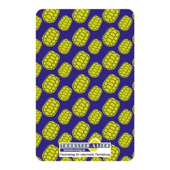 Preview: Schildkröten Quartett 32 Karten