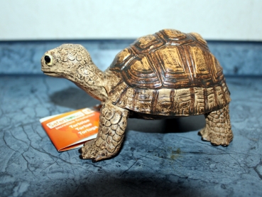 SAFARI Landschildkröte Figur
