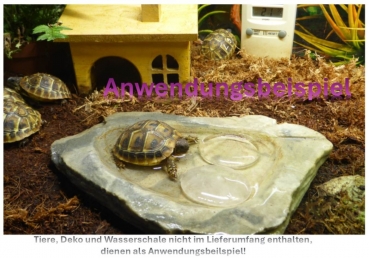 Preview: Scheibenstein Bergkristall 3-5 x 5 cm groß (klar)