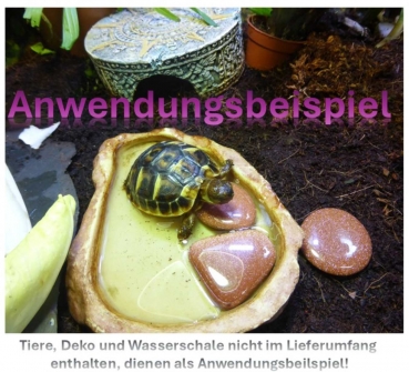 Preview: Scheibenstein Goldfluss ca. 3-5 x 5 cm groß (rot-goldglitzernd)