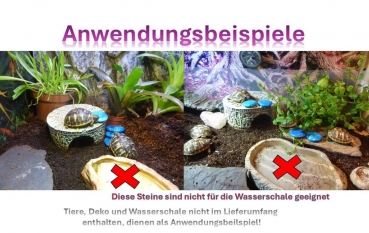 Preview: Scheibenstein Türkenit ca. 3-5 x 5 cm groß (blau-türkis)