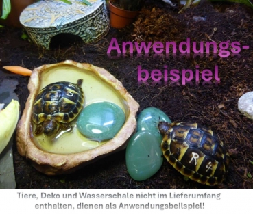 Preview: Scheibenstein Aventurin ca. 3-5 x 5 cm groß (grün)