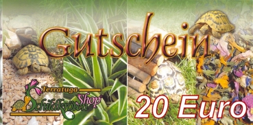 Gutschein zum Verschenken (Wert 20 Euro)