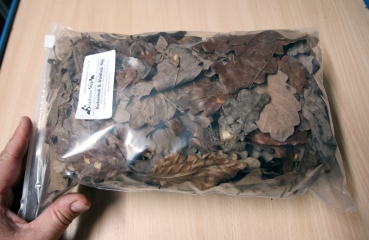 Eichenlaub & Waldlaub Handgesammelt 50g