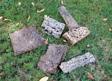 Korkstück Größe M bis ca. 20cm lang