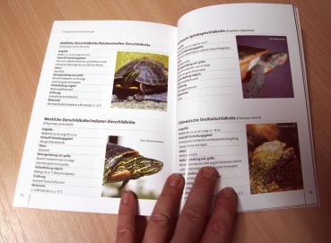 Mein Leben als Wasserschildkröte - Der etwas andere Wasserschildkröten-Ratgeber