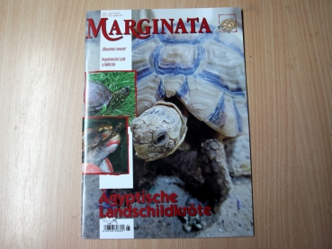 Marginata 65 - Ägyptische Landschildkröte