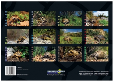 Schildkröten-Kalender 2023  Sonderpreis