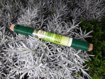 Bindedraht Floristik Farbe grün für Garten & Pflanzen