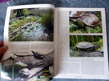 Marginata 46 - Die Europäische Sumpfschildkröte