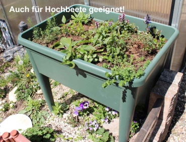 Freilandgehege Versteck & Futterpflanzen 6-er Set - mehrjährig