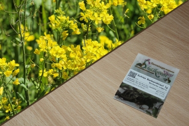 Echtes Barbarakraut 1g (Barbara vulgaris s.str)