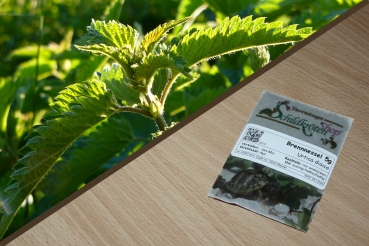 Große Brennessel 5g  (Urtica dioica)