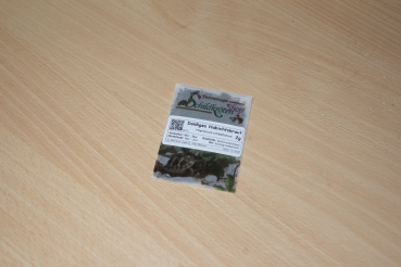 Doldiges Habichtskraut 2g  (Hieracium umbellatum)