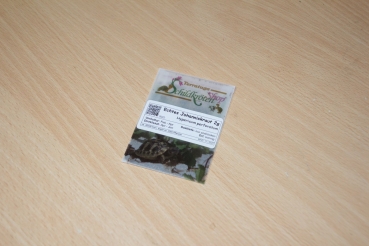 Preview: Echtes Johanniskraut 2g  (Hypericum perforatum)