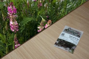 Esparsette 5g  (Onobrychis viciifolia)