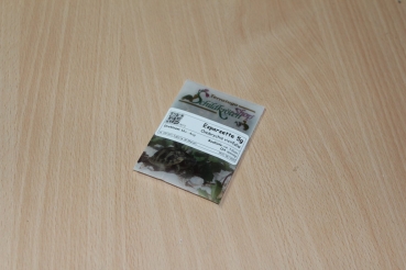 Preview: Esparsette 5g  (Onobrychis viciifolia)