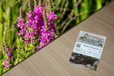 Gewöhnlicher Blutweiderich 2g  (Lythrum salicaria)