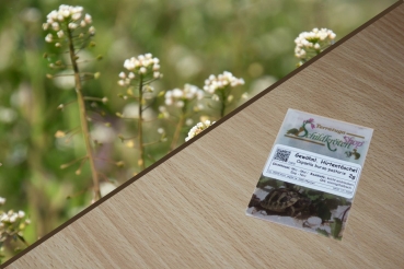 Gewöhnliches Hirtentäschel 2g  (Capsella bursa-pastoris)