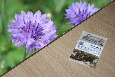 Kornblume 3g  (Centaurea cyanus)