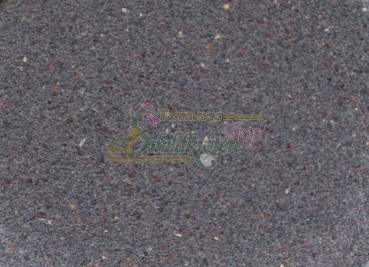 Kuckuks-Lichtnelke 1g - Lychnis flos-cuculi