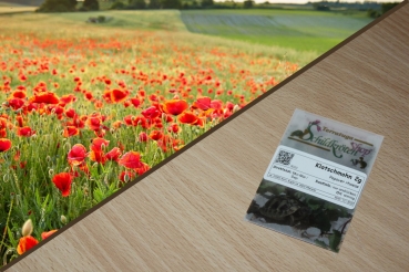 Klatschmohn 2g  (Papaver rhoeas)