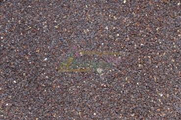 Klatschmohn 2g  (Papaver rhoeas)