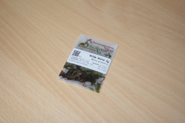 Wilde Malve 2g  (Malva sylvestris)