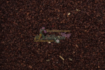 Gemeine Nachtkerze 2g  (Oenothera biennis)