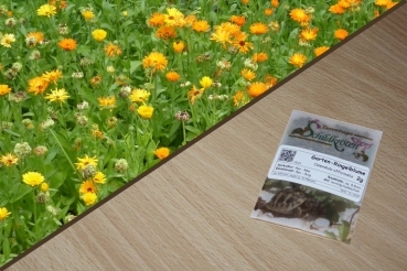 Garten-Ringelblume 2g  (Calendula officinalis)