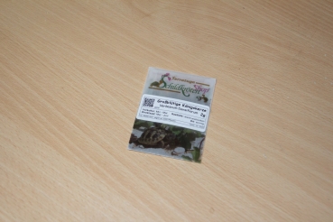 Preview: Großblütige Königskerze 2g  (Verbascum densiflorum)