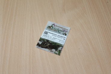 Preview: Gewöhnliche Schafgarbe 2g  (Achillea millefolium)