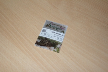 Preview: Wilde Möhre 2g  (Daucus carota ssp. carota)