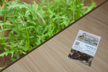 Wilde Rauke 2g (Rucola selcatica)
