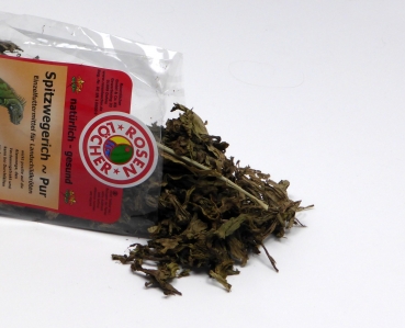 Preview: Spitzwegerich 50g (HM Rosenlöcher)