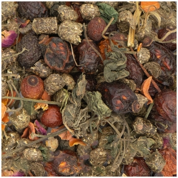 Chinchilla- Spezial 500g (JR FARM)