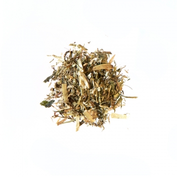 TESTUDO Fibre 250g (Agrobs)