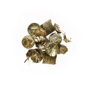 TESTUDO Original 500g Dose (Agrobs)