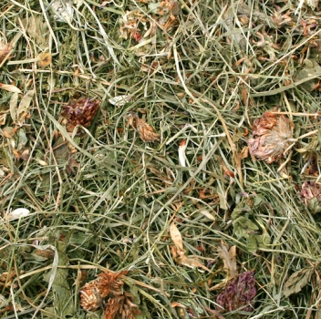 Kleewiese 500g (JR FARM)